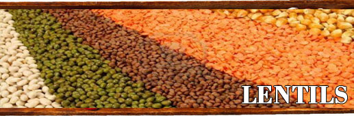 lentils